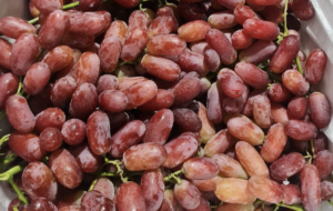 5 loại quả ngọt người tiểu đường nên hạn chế